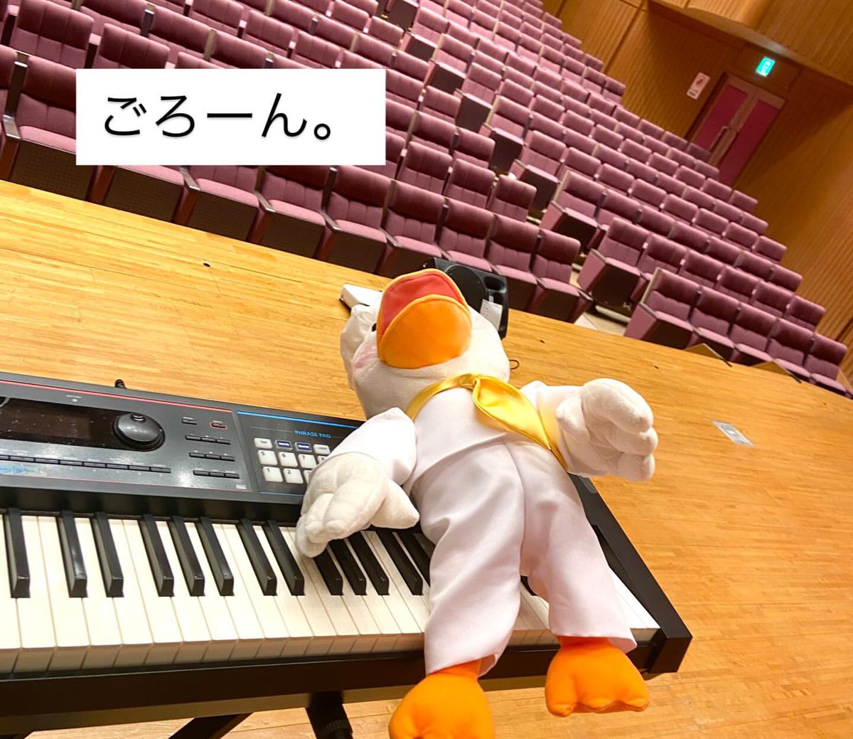 Photo Diary 2026.1.31
千葉県成田市・印旛支会セミナー♪
⁡
#gaagaaS #ガーガーズ #歌遊び #講習会