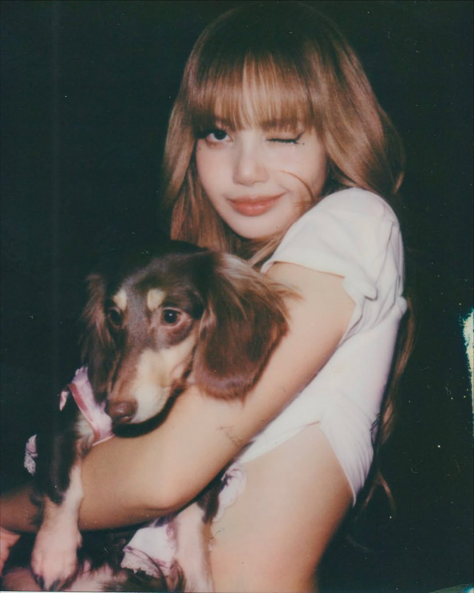 cici olisyeana tweet media