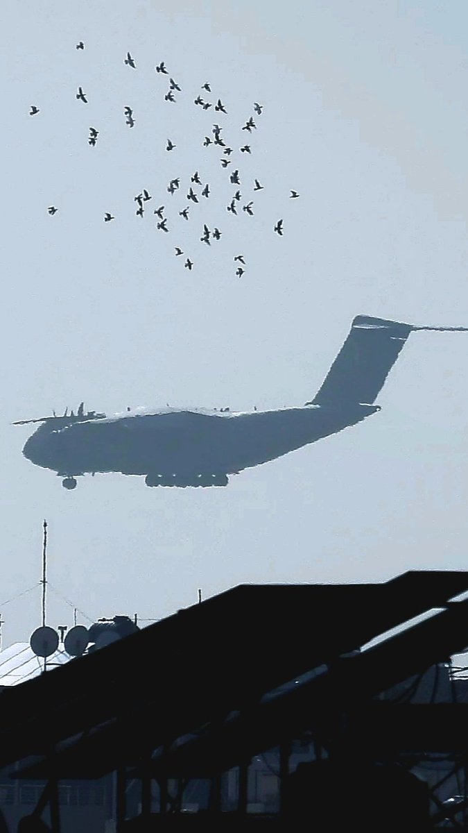 LebanonJets's tweet photo. #France AirForce A400M #FRBAD #3B776F N/A on FR24 & BLOCKED on others into Beirut from Orleans/Bricy as #CTM2004 prev FAF A400 was on September 8th. As of Feb1 636 French troops in Lebanon serve #UNIFIL 114 less than Jan4
@CotamFleet @FrenchTrackers https://t.co/LhRtmTm8Tg