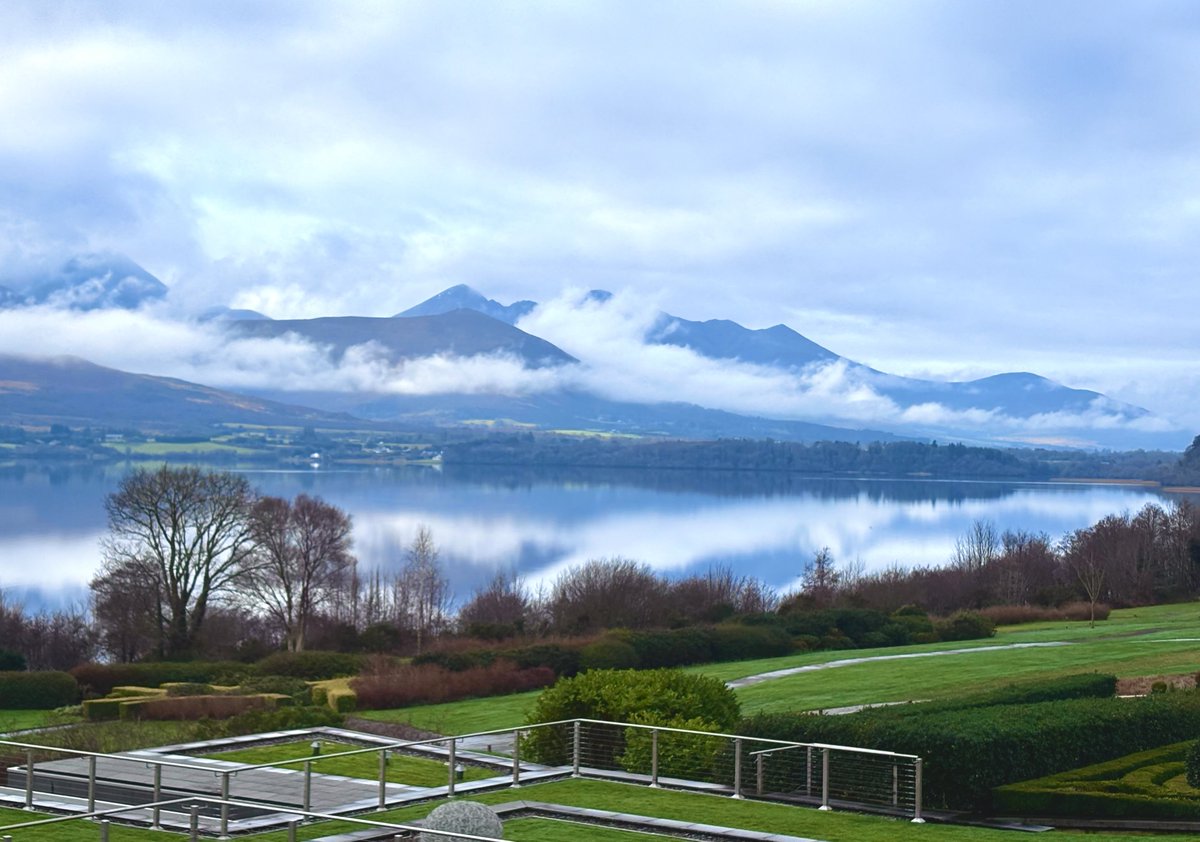 フ ォ リ ス tweet media