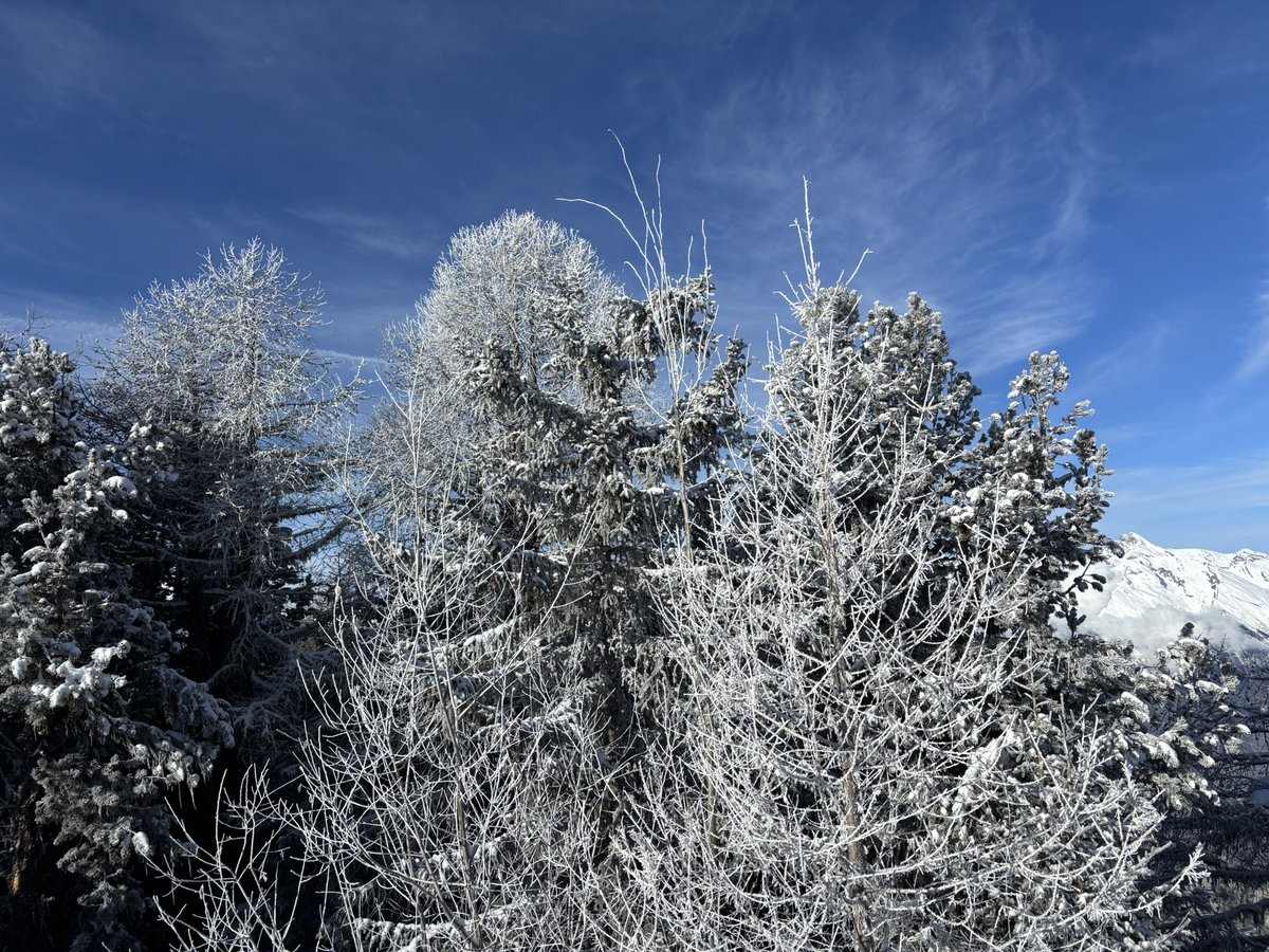 ValaisDude's tweet photo. Excellent conditions in the Swiss 4Vallees due to some fresh snow - even a blue sky too #Nendaz #Veysonnaz #Thyon https://t.co/Os3p4xHhBq
