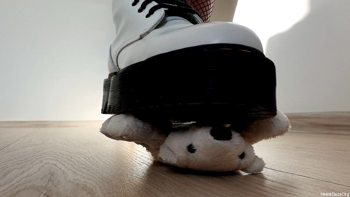 HeelsDazeOrg tweet media