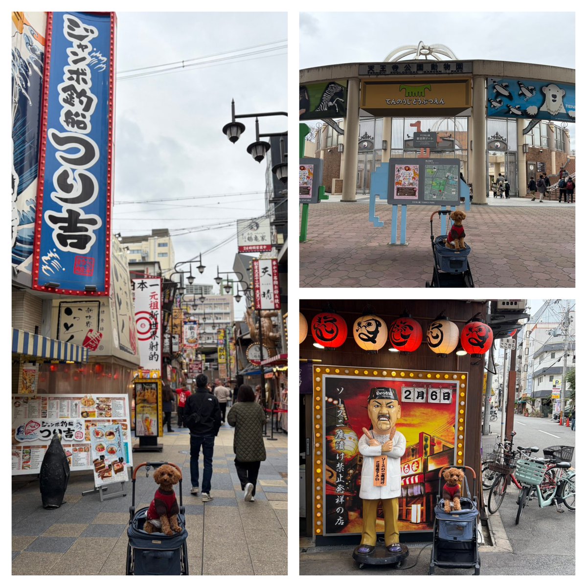 スタンド デコピン【公式】 (@standdecopin17) / Posts / X