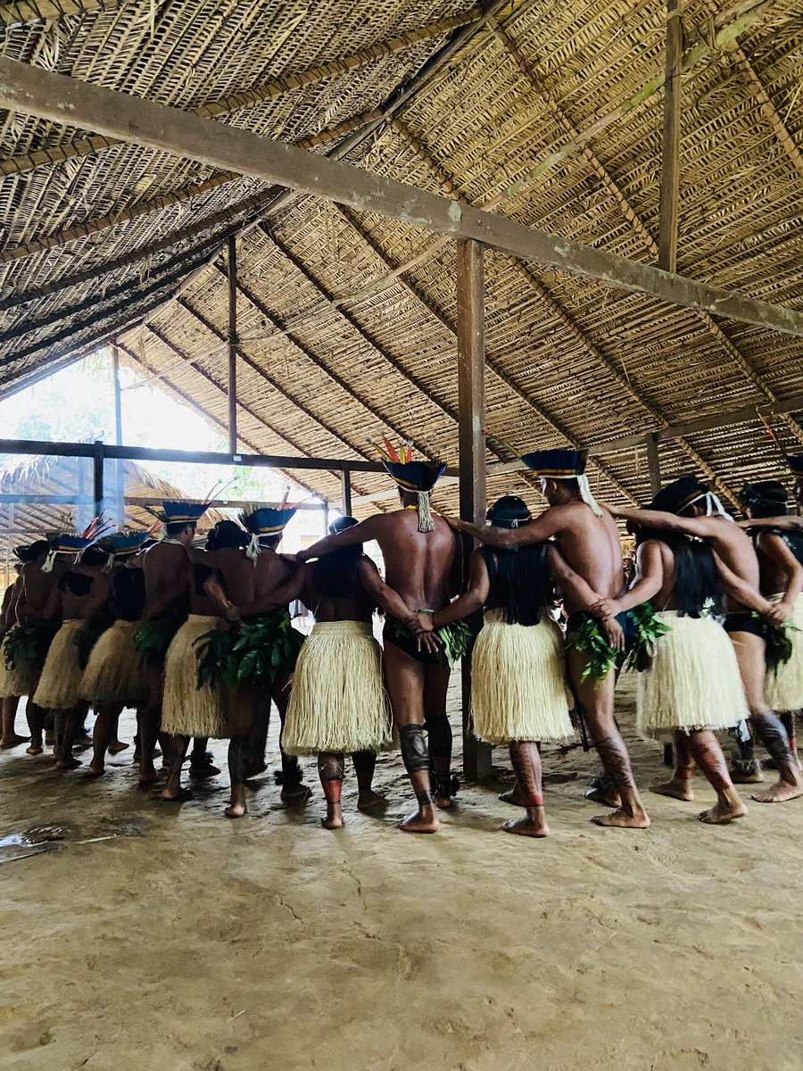 ze_ailsonn's tweet photo. Amazônia 💚 https://t.co/Lgiw1BbZgR