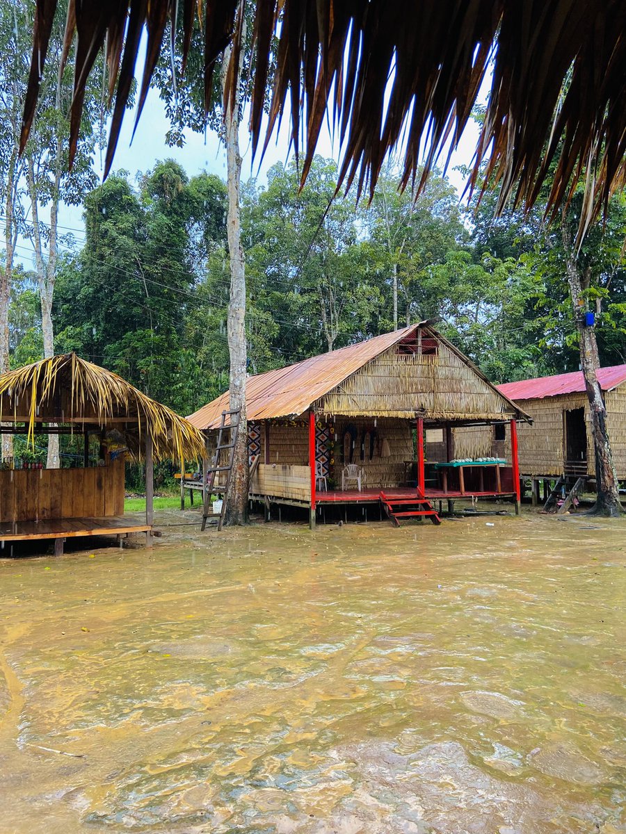 ze_ailsonn's tweet photo. Amazônia 💚 https://t.co/Lgiw1BbZgR