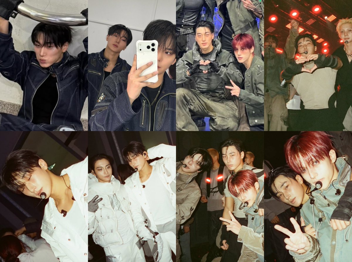 this kitten is everywhere