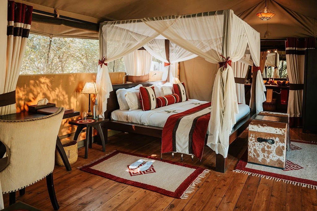 Touristically Travel✈️ tweet media