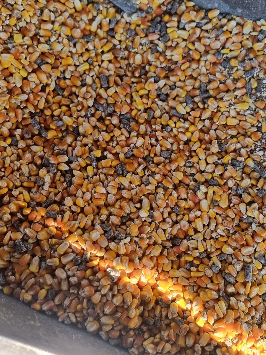 TinagoAB's tweet photo. "Y no te olvides, en Tinago contamos con un equipo de expertos que te brindará asesoramiento personalizado para que aproveches al máximo nuestros productos. ¡Nuestros clientes lo confirman! Gracias Agromalvinas y Compañía Comercial Inversora del Sur por confiar en Tinago. https://t.co/tCnPW3Cca3
