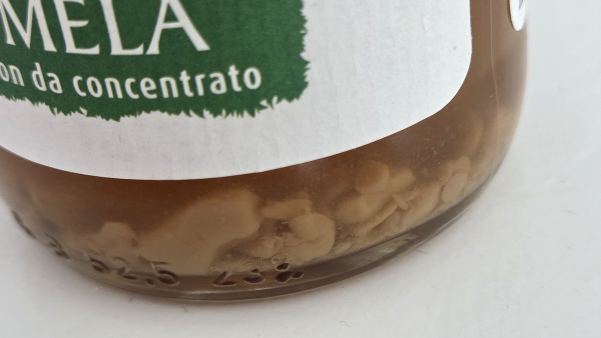 Capo Miyo 🕴️🌹 tweet media