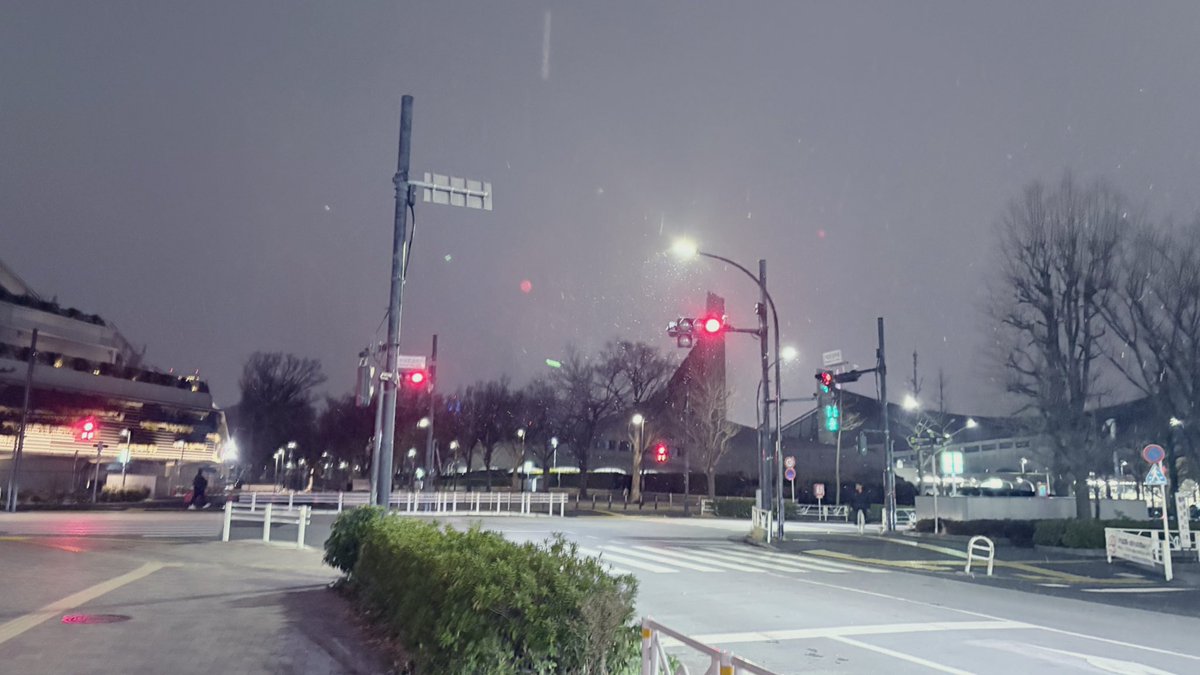 mol73a's tweet photo. 雪降ってる https://t.co/DZeNsOP9Iw