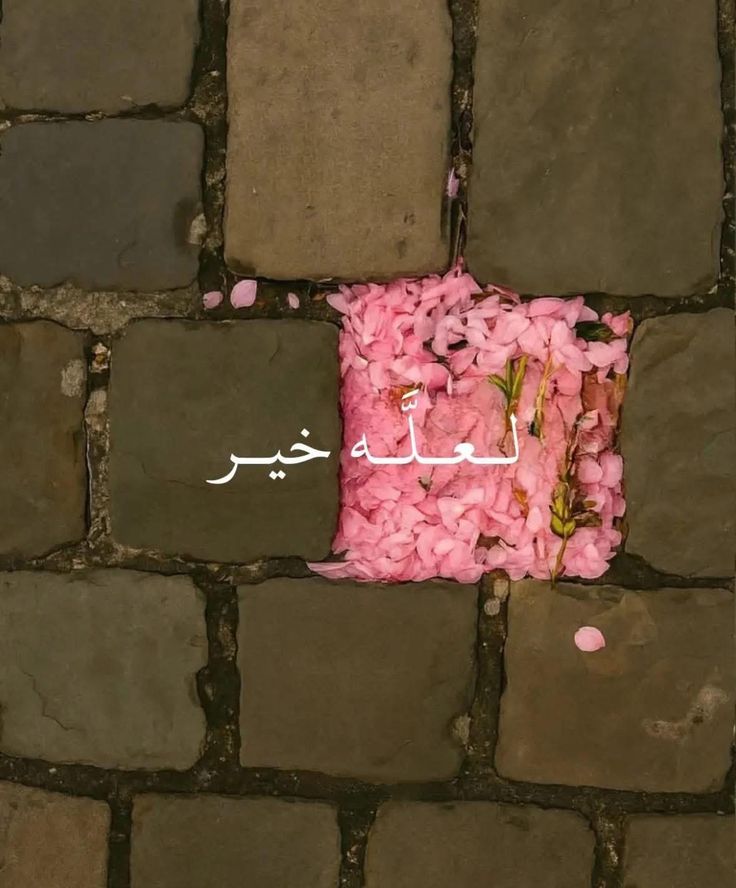 لعلَّه خير🩷..