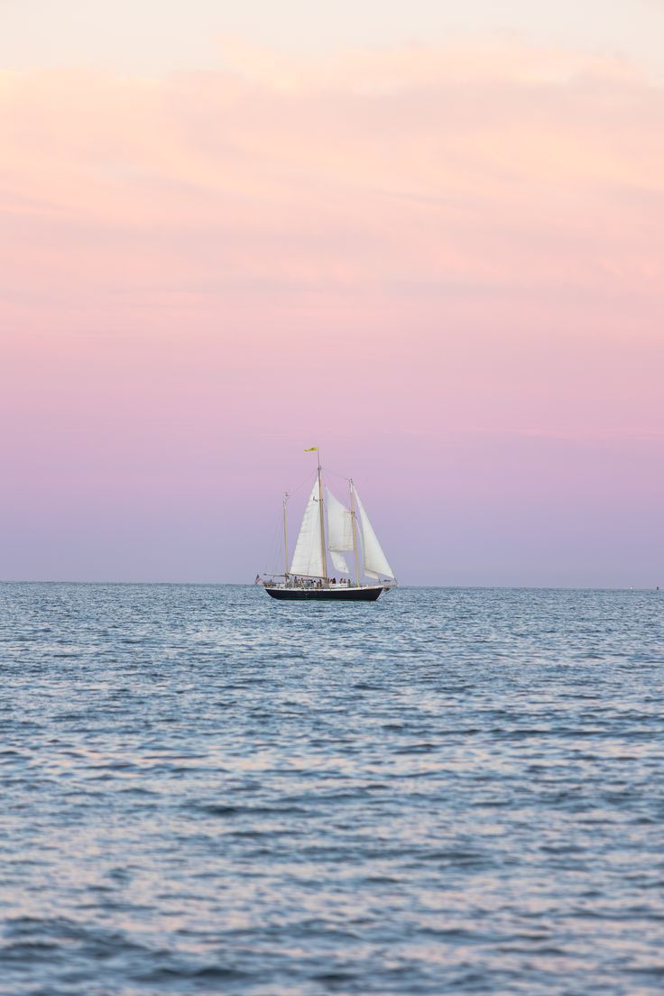 naturaholic's tweet image. 