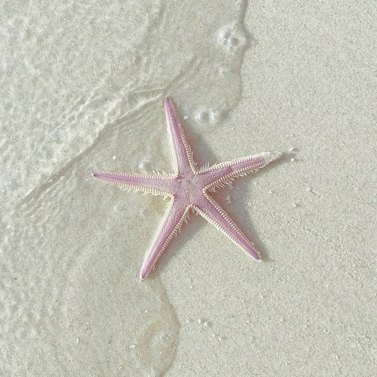 naturaholic's tweet image. 