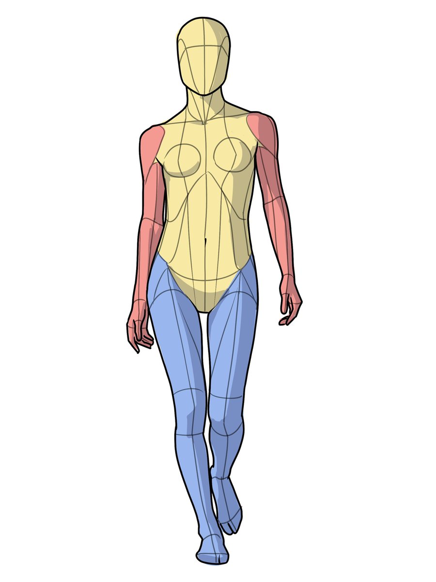 伊豆の美術解剖学者 (@kato_anatomy) on Twitter photo 