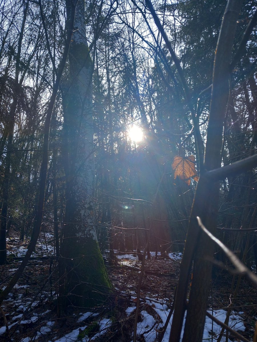 Iwobrand (@iwobrand) on Twitter photo 