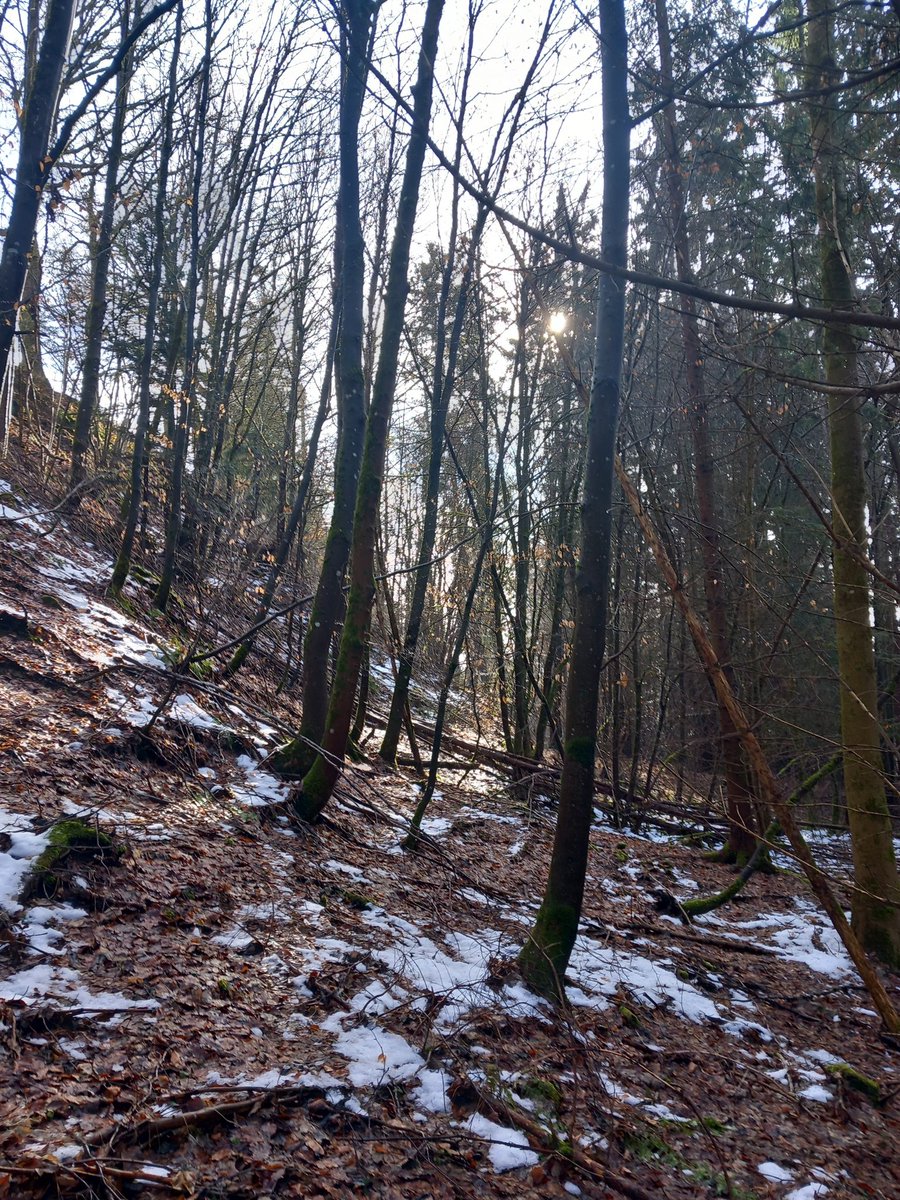 Iwobrand (@iwobrand) on Twitter photo 