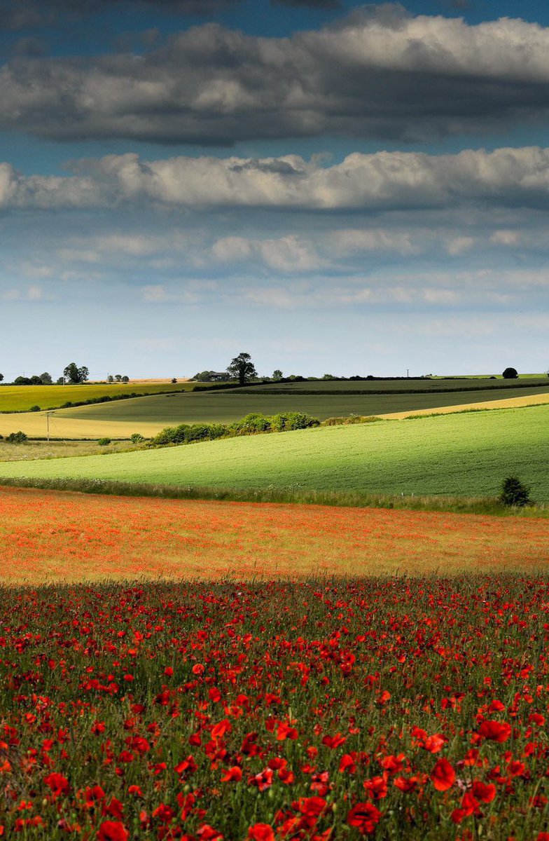 𝐌𝐚𝐭𝐭 𝐏𝐢𝐧𝐧𝐞𝐫 tweet media