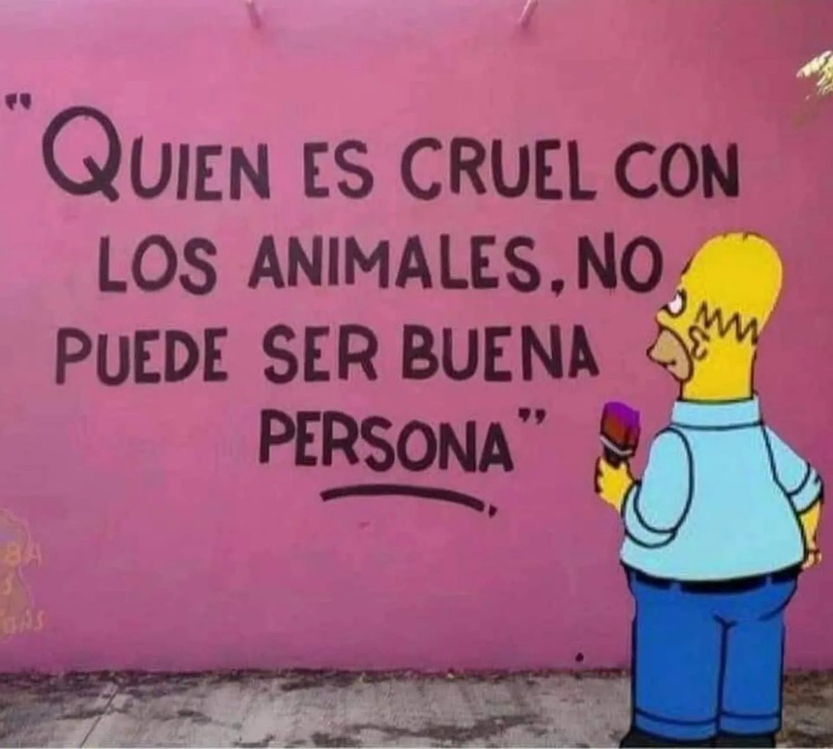 RincnCuriosoo's tweet image. 