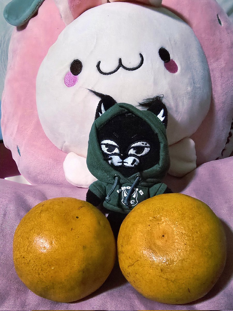 แจบอมมา POP b.stage แป๊บเดียว ตอบคำถามและให้กำลังใจแฟนคลับ สู้ๆนะ แล้วก็ส่งรูปมาให้ดูครึ่งหน้า ใส่แว่นตากรอบดำ และเสยผม บนหัวเตียงวางส้ม🍊 ไว้หลายลูกเรียงกัน น่ารัก🥰
#제이비 #JAYB
<a href="/jaybnow_hr/">JAY B</a>