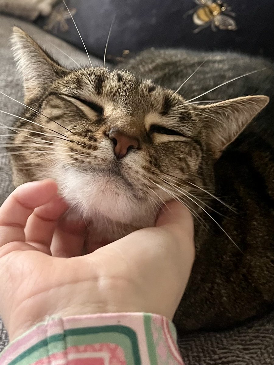 Clive Chamberlain tweet media