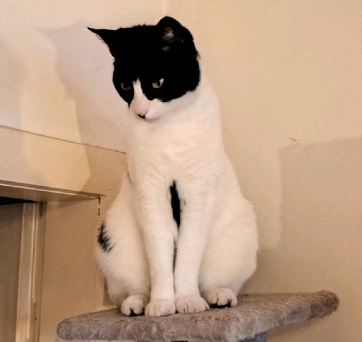 bryce leatherwood@ (@bryceleath98008) on Twitter photo 