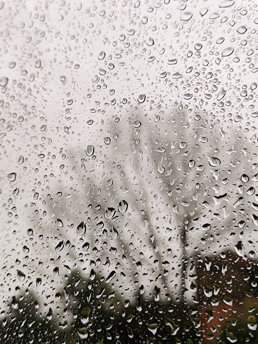 Bom dia!
Lá fora, a chuva é persistente. Cá dentro, a vida segue ao som suave das gotas no vidro.
A chuva que desfoca o exterior é a mesma que nos ajuda a focar no essencial.
Cuidem-se e bom sábado.
#ruifototerapia