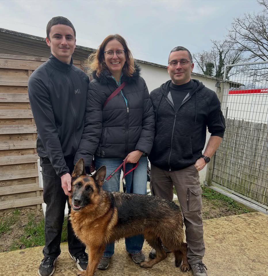 Fondation Assistance Aux Animaux tweet media