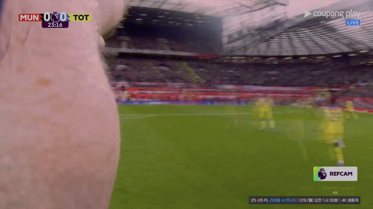 저희 진짜 계속 올리버 솜털 봐야하나요