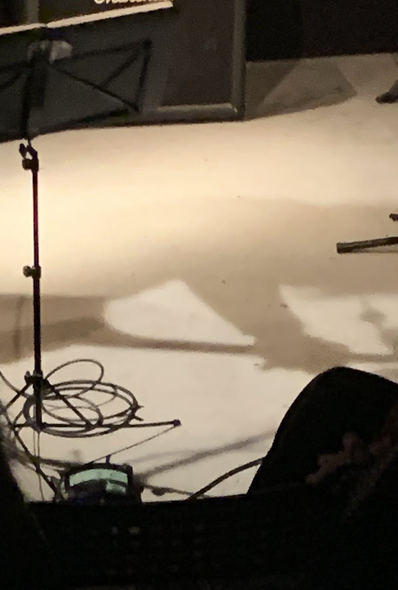 怪獣シアター、PREFERENCE、朗読たのしかったですありがとうございました！音楽の方とご一緒すると、声と言葉しかないのが心許なくて、心許なくてどうするって覚悟ができる。子犬に「小さい頃」っていう名前をつける詩とか読みました。聴いてくださって本当にありがとうございました。