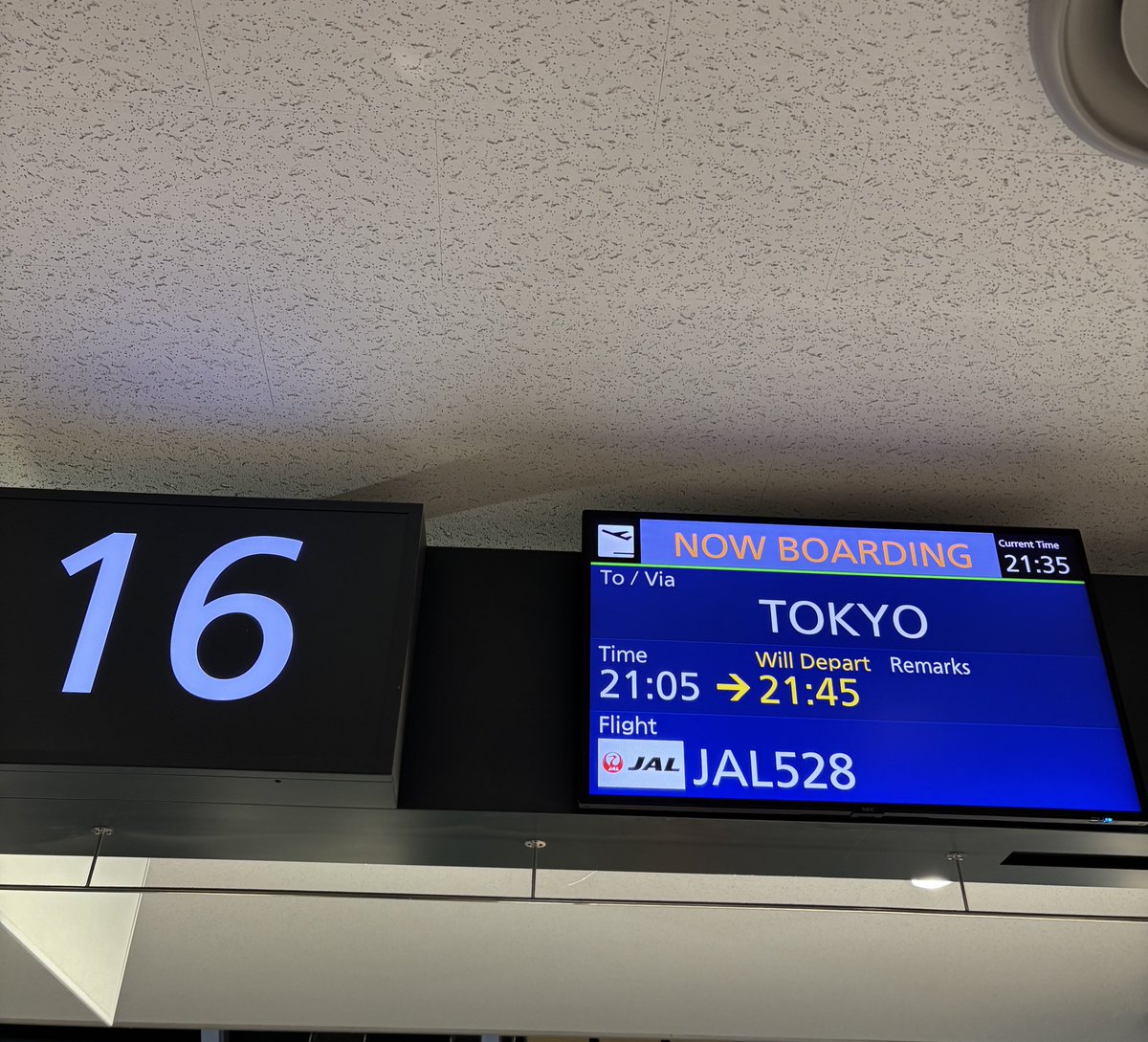 5KPRIDEofficial's tweet photo. 行ってきます

#遠征はJALで行こう https://t.co/1FTPAYqsCc