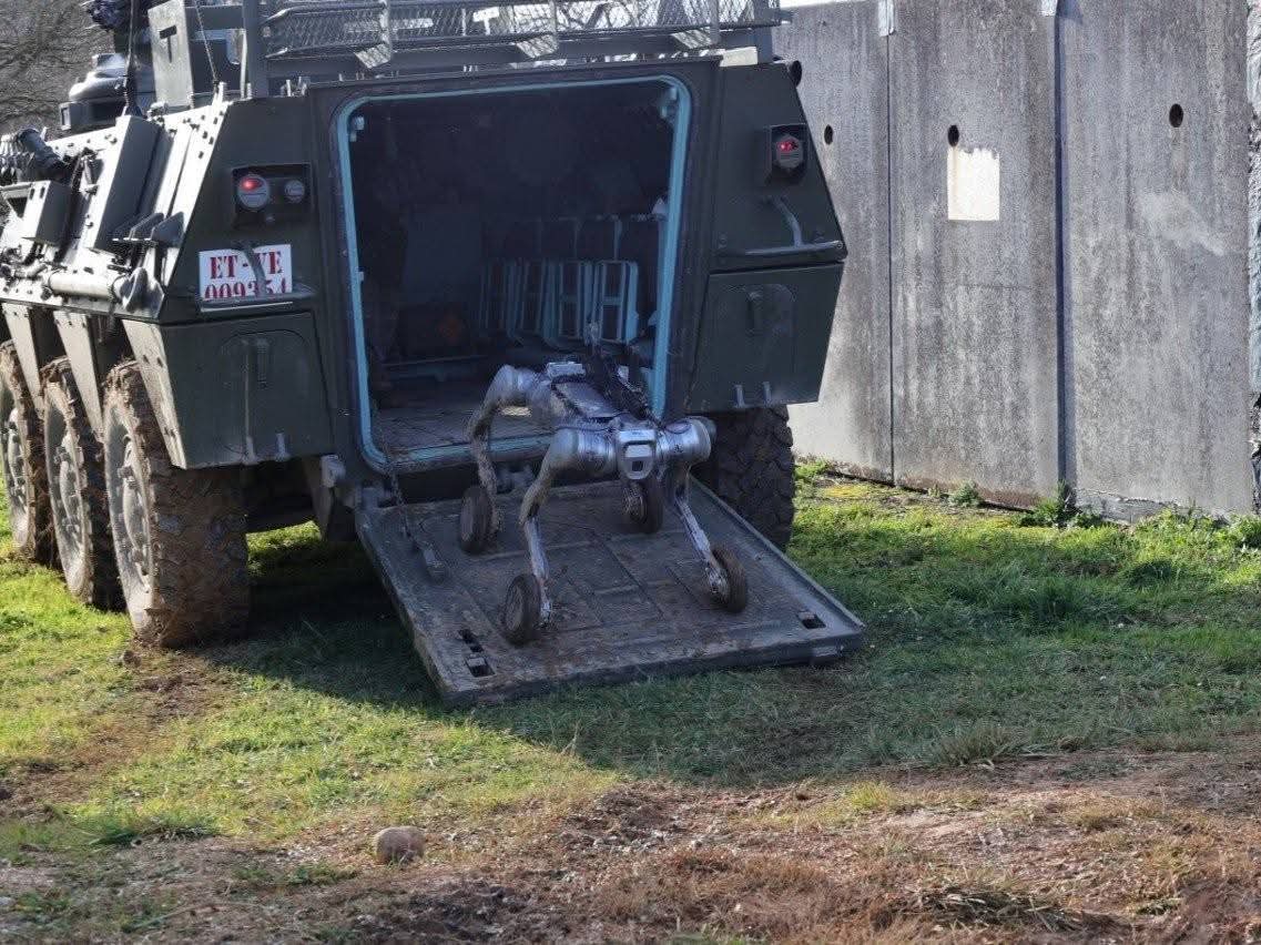 Fuerza Terrestre tweet media