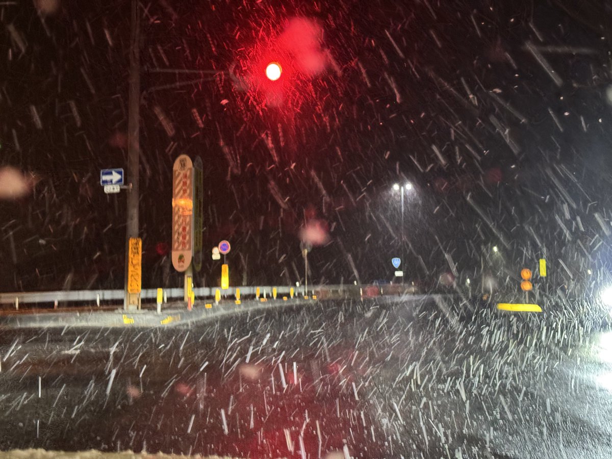 帰宅した途端雪が強く降って来たから、打ち上げが終わるまで天気が耐えてくれてたんだなあ