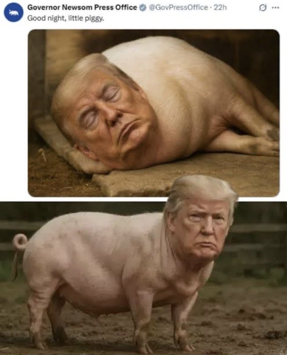 Ser att många upprörs över att Donald Trump tydligen delat någon film och att  dessa upprörda individer visar samma stillbild från filmen, det vill säga på paret Obama föreställandes två apor. Dessa upprörda individer menar att just denna stillbild är ett bevis på att Trump är