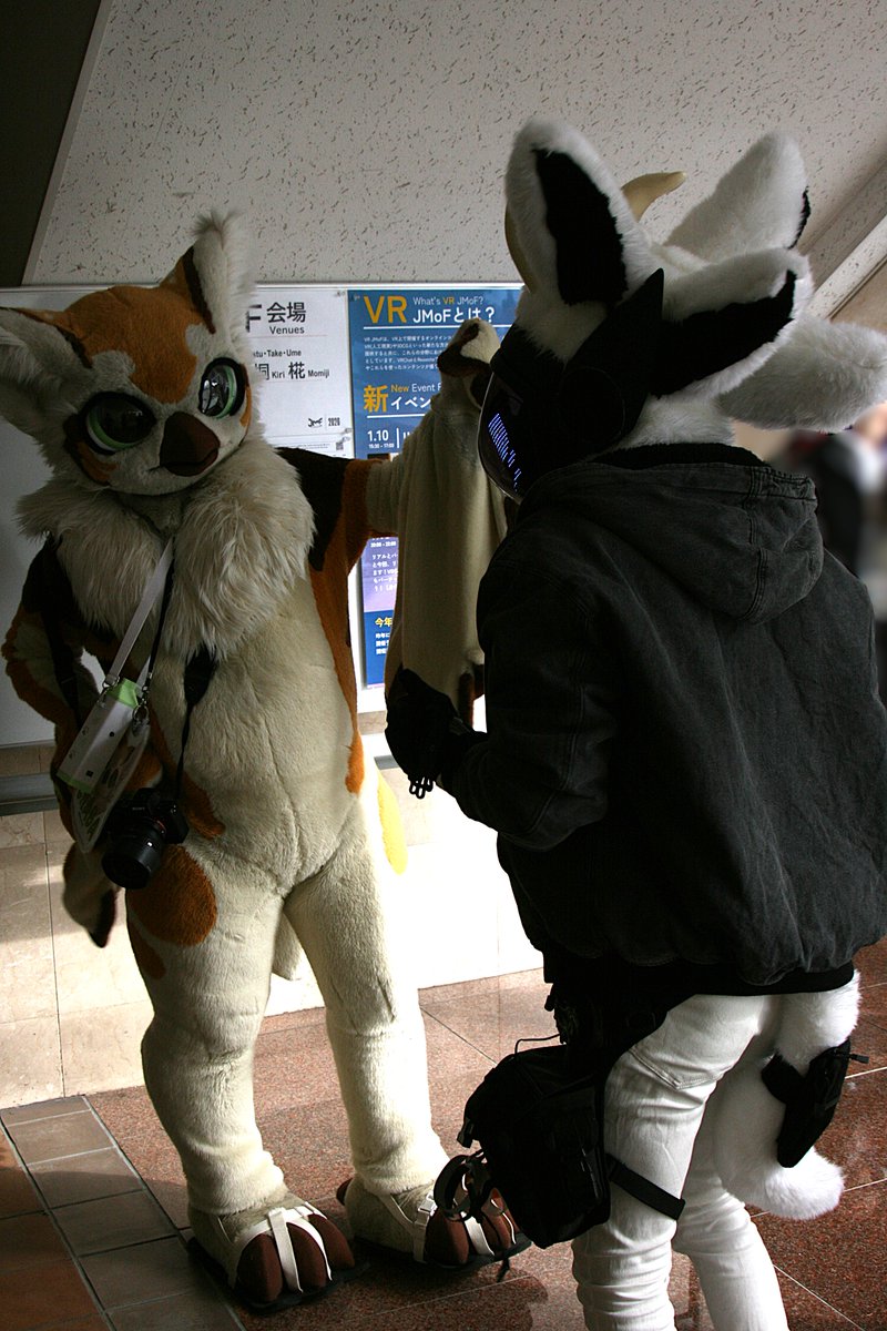 キミドリ tweet media