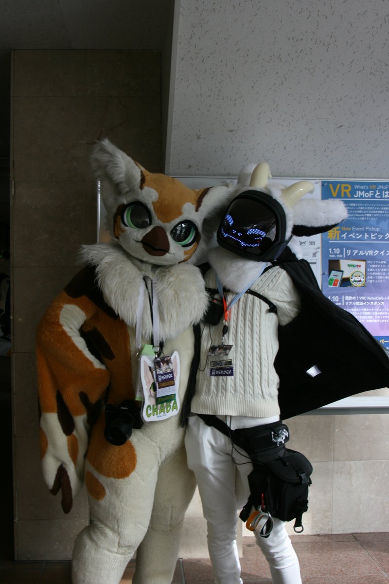 キミドリ tweet media