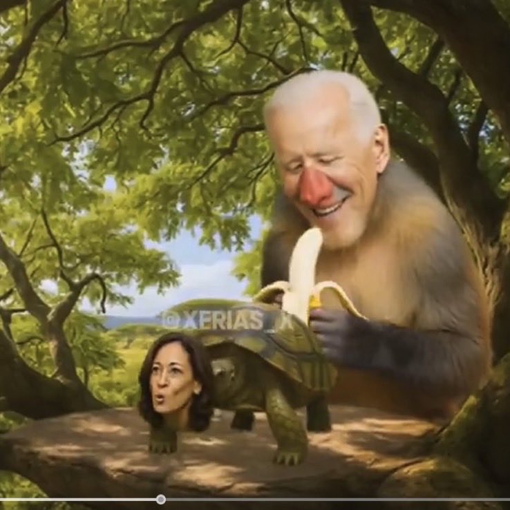 TheRightMelissa's tweet photo. @MarcoFoster_ Biden is also depicted as an Ape 🦍 why is that not racist?. The only people calling it racist are people who associate black people with apes. Thats the real racism https://t.co/fy8E0Qv1ii
