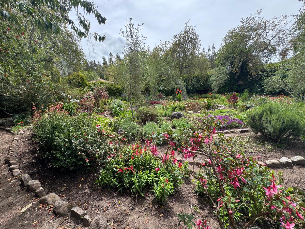 PsychicMediumSL's tweet photo. Michelle and I recently visited a beautiful retreat space called Willka T’ika Wellness in Peru, not far from where we were staying in Ollantaytambo. It is a truly peaceful and sacred place, surrounded by the mountains and the spirit of the land.

I am planning to host a Seven Directions Retreat here in the future, which will include an optional group visit to Machu Picchu. The retreat will also feature Andean Indigenous Elders offering traditional ceremonies such as Sweat Lodge and Cacao Ceremony. There are many spa services available, and there is also a plant-medicine expert on site.

If this speaks to your heart, please visit their website to learn more about Willka T’ika, and be sure to register for my email list at https://t.co/3nXEimpwWb to stay informed about upcoming workshops and retreats.

Wela’lin,Shawn Leonard
White Eagle Spirit Talker
https://t.co/c8zABkroUk