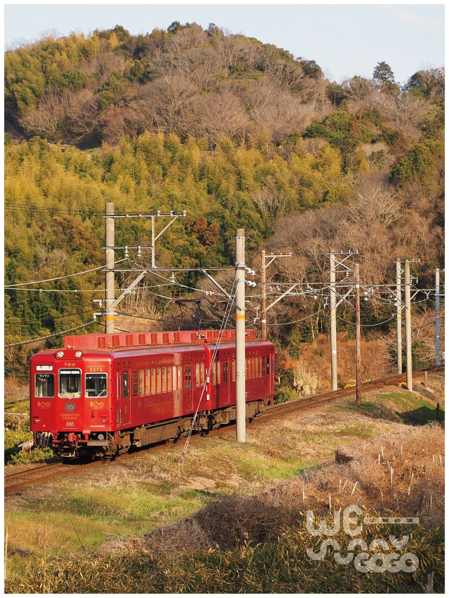 Yumeden Factory (@WEsunnyGOGO) / Posts / X