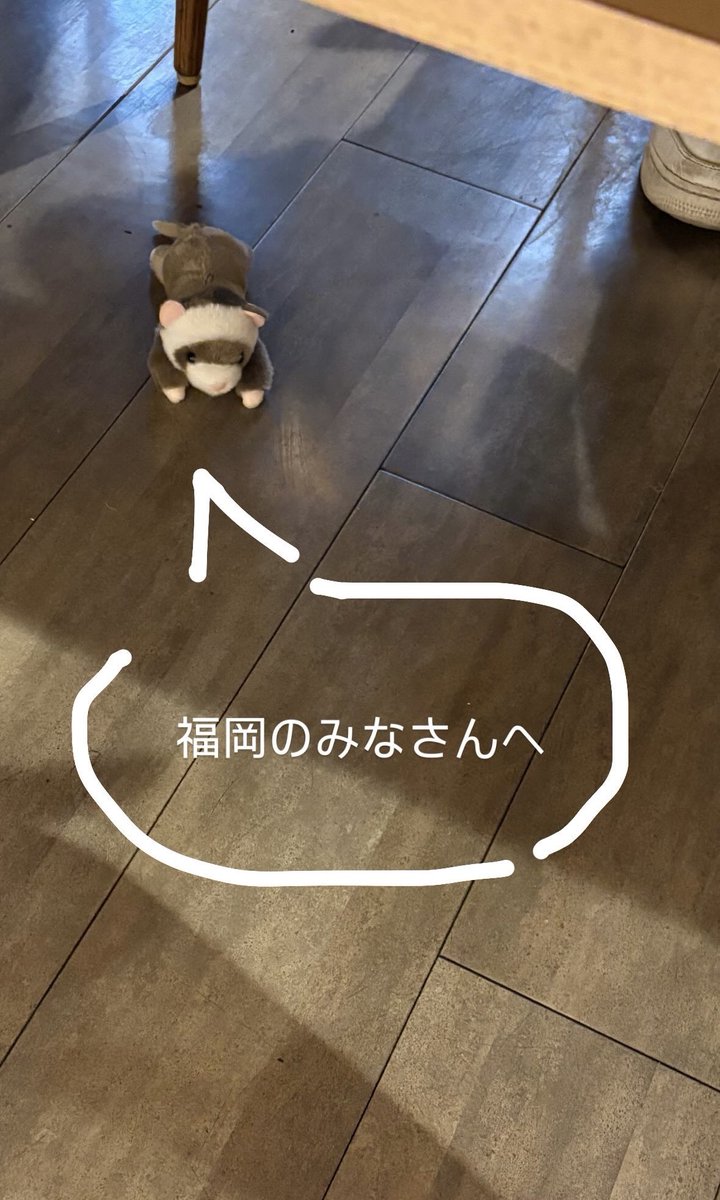ami_sakagt's tweet photo. 福岡弁マスターして帰りたいです https://t.co/1iTUHDCGsb