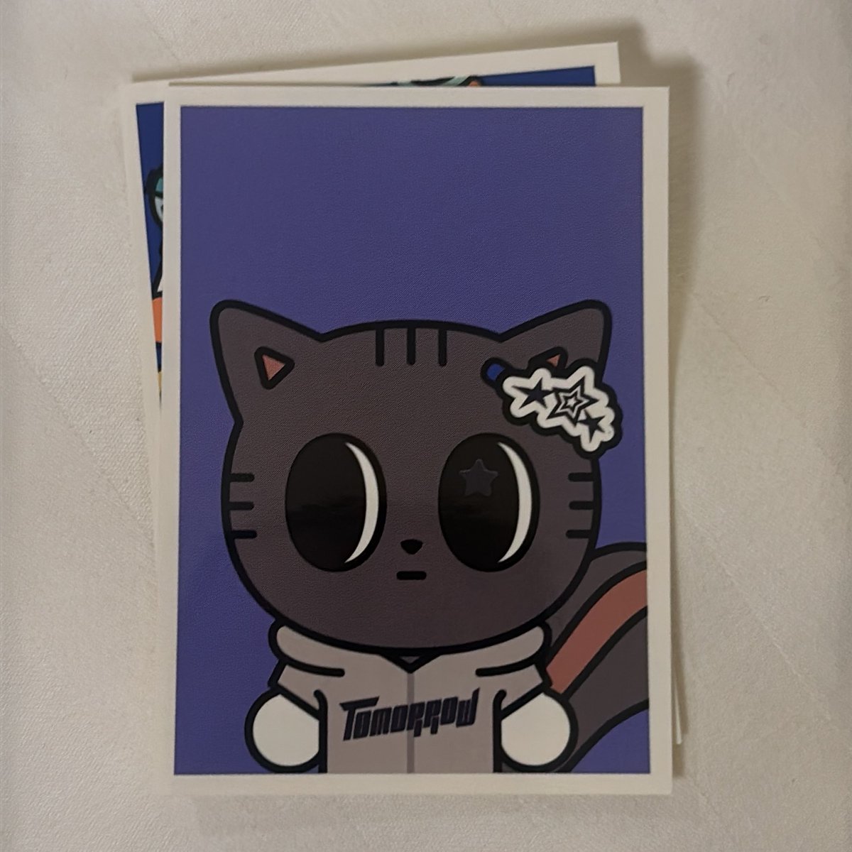 ちゃも tweet media