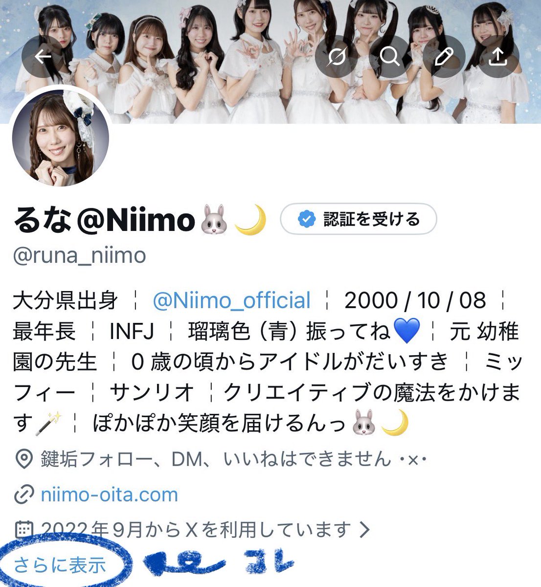 そういえば！ ＂拡張プロフィール＂ というものを書いてみた🍰 にゅう