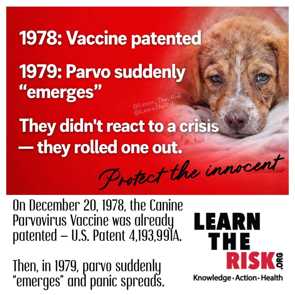 Parvo: the timeline they don’t want questioned

On December 20, 1978, the Canine Parvovirus Vaccine was already patented — U.S. Patent 4,193,991A. A vaccine patent requires a defined antigen, strain, and manufacturing protocol, which means the product was fully conceptualized and