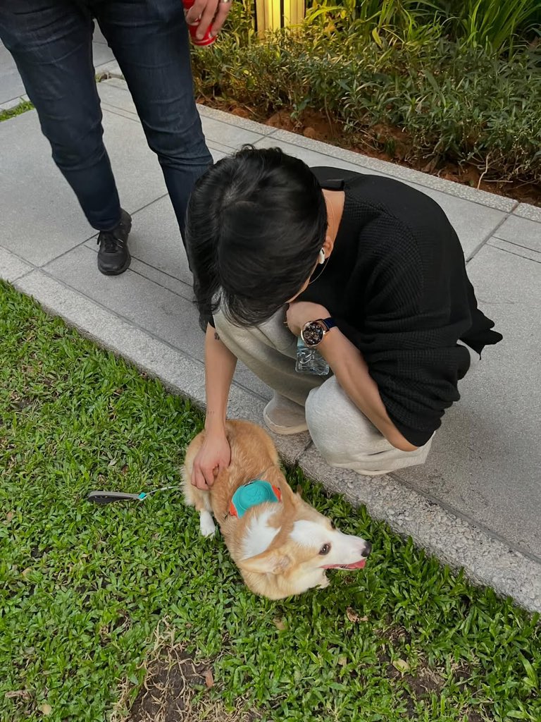 BamBam’s IG Update 

🐶🦮🐾🥹

#BamBam #뱀뱀 <a href="/BamBam1A/">BamBam</a> 
<a href="/BAMBAMxBAMMIE/">뱀뱀 BamBam</a>