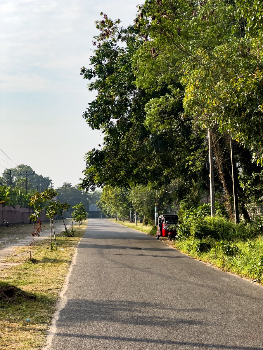 thanzeena's tweet photo. Everyday Srilanka 💚 https://t.co/qphXjihnjB