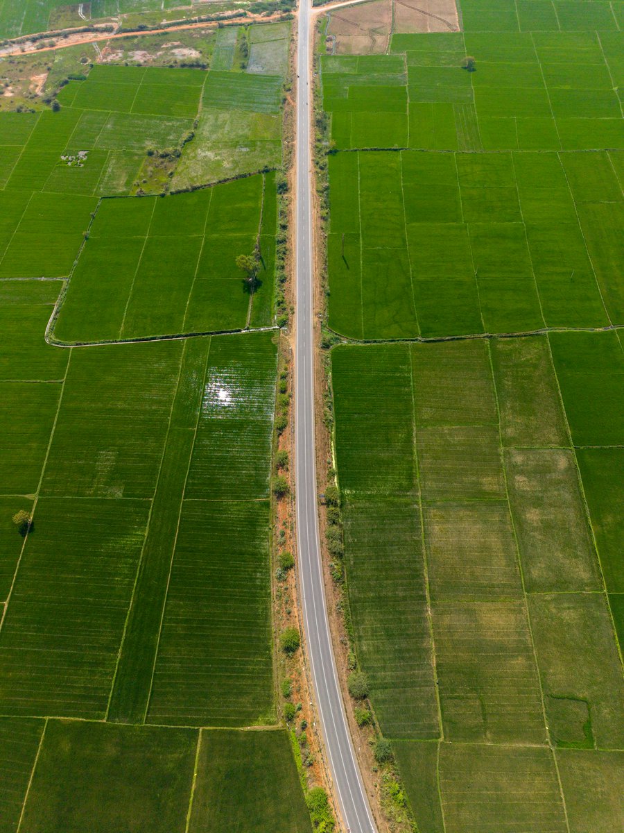 Photos from my home, Andhra Pradesh 💚