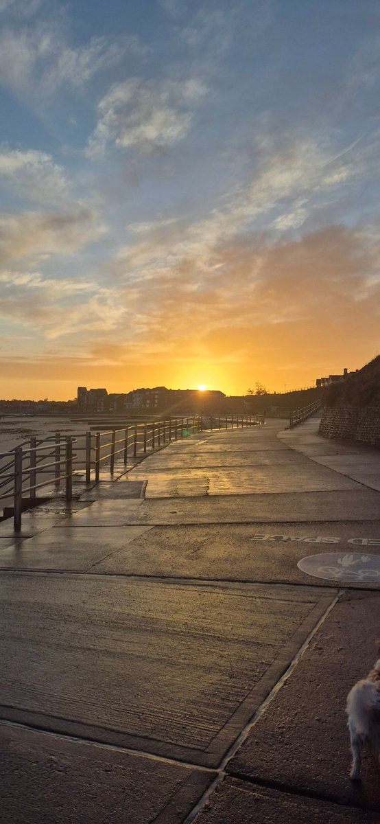 Such a calming sky in our early morning dog walk ✨️

#MorningVibes 
#morningskies 
#mornings 
#SaturdayVibes 
#WeekendVibes