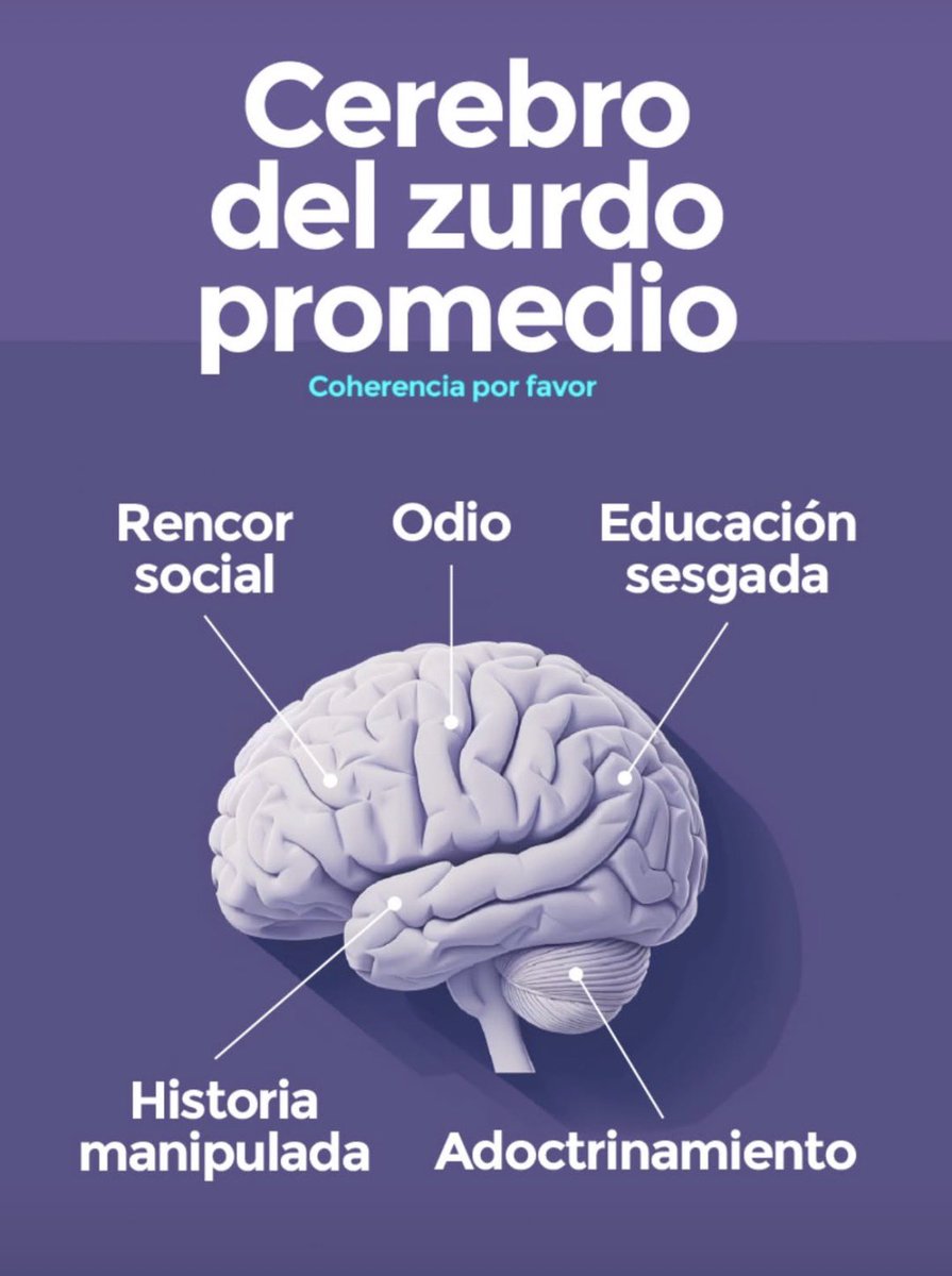 Fran Casaretto (@fran_casaretto_) on Twitter photo 