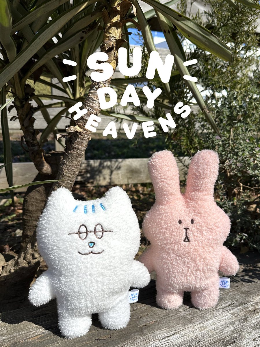 日曜朝10時〜TBSラジオ
「安住紳一郎の日曜天国」

🌈2月8日🌈
◆メッセージテーマ　
　家族の恥ずかしい話
　nichiten@tbs.co.jp
◆ゲスト　
　みうらじゅんさん
🎁プレゼント
　ぬいぐるみ〔ねこずみ・うささわ〕

#nichiten #TBSラジオ
#番組初グッズ