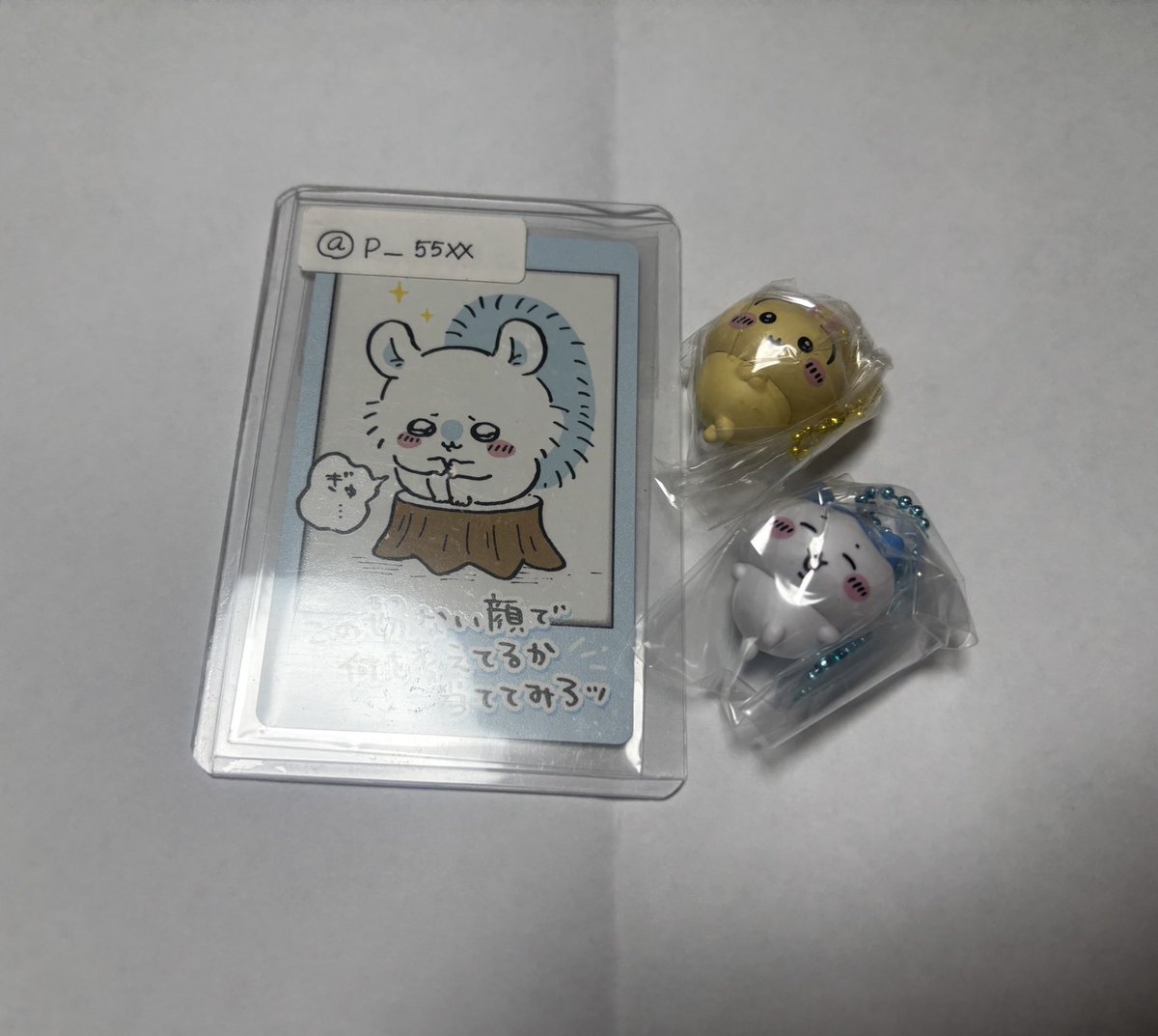 p_55xx's tweet photo. @jin_milk1215 @1 初めまして検索より失礼します🙇‍♂️
当方うさぎとハチワレを所持しております。かのこ様のモモンガⅹ2と大阪手渡しでの交換は可能でしょうか？
ご検討よろしくお願いします。 https://t.co/t46UEi2AA6