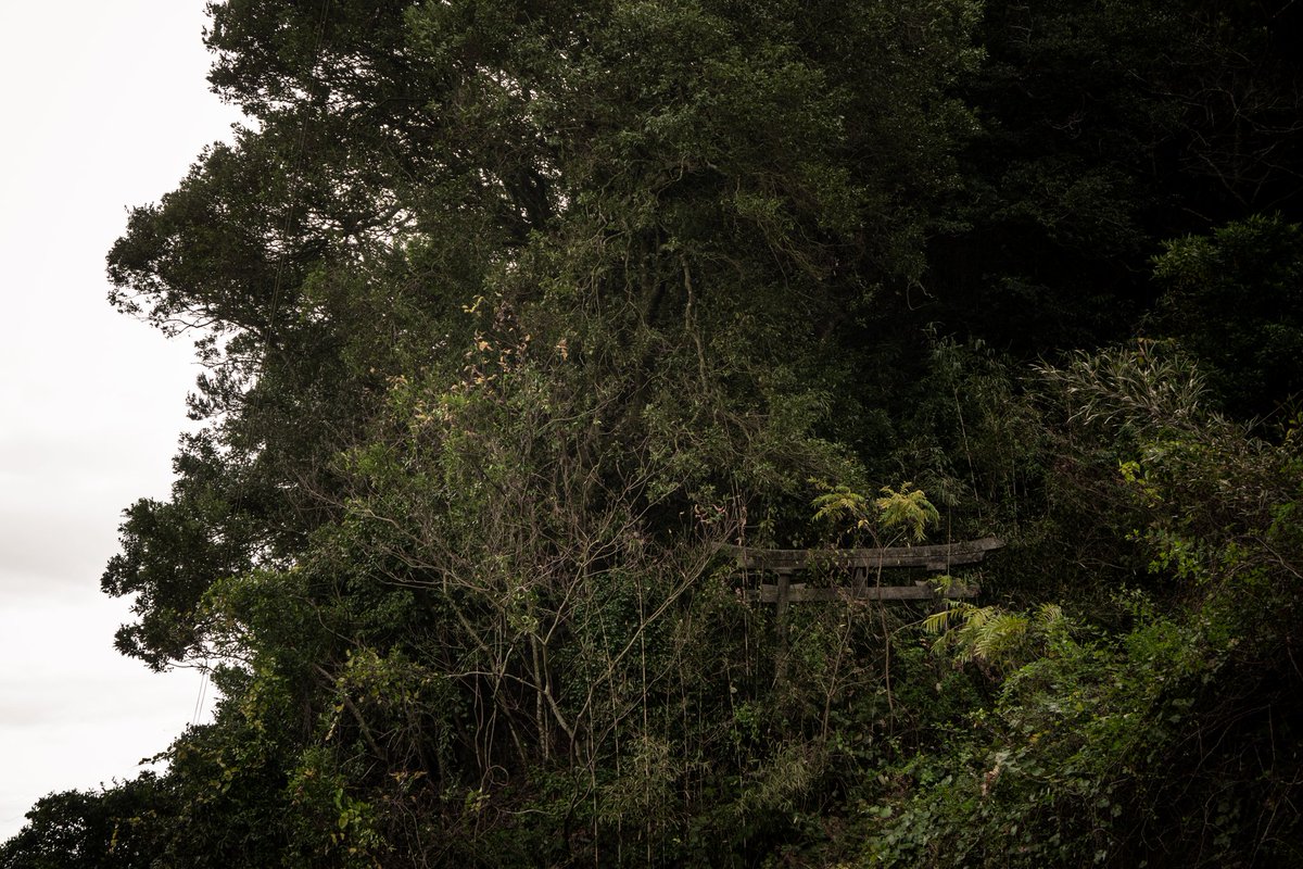 urbex47.🎥廃墟record tweet media